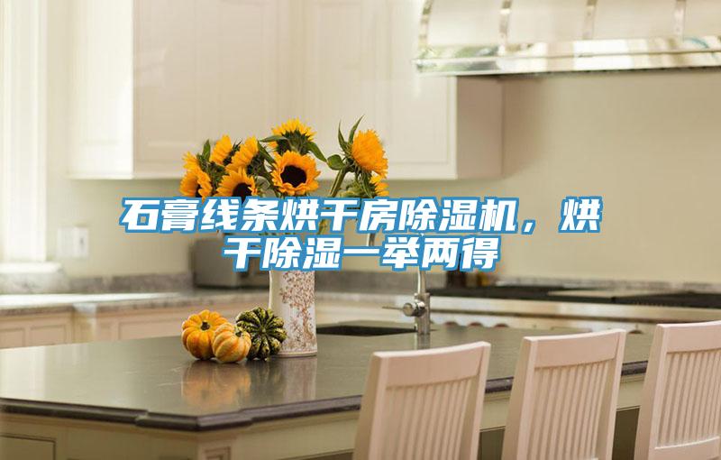 石膏線條烘干房除濕機(jī),烘干除濕一舉兩得