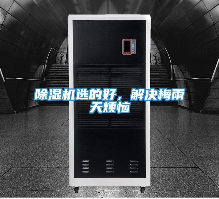 除濕機選的好,解決梅雨天煩惱