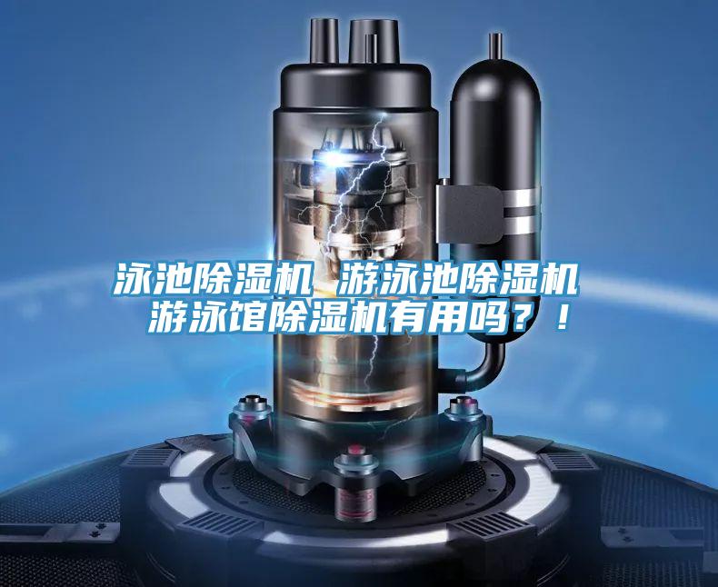 泳池除濕機 游泳池除濕機 游泳館除濕機有用嗎?!
