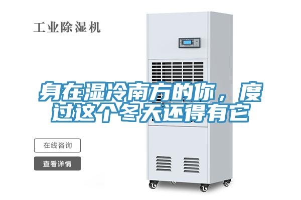 身在濕冷南方的你，度過這個冬天還得有它