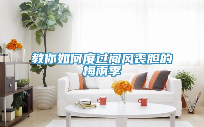 教你如何度過聞風喪膽的梅雨季