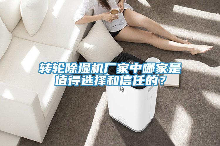 轉(zhuǎn)輪除濕機(jī)廠家中哪家是值得選擇和信任的?