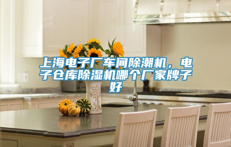 上海電子廠車間除潮機,電子倉庫除濕機哪個廠家牌子好