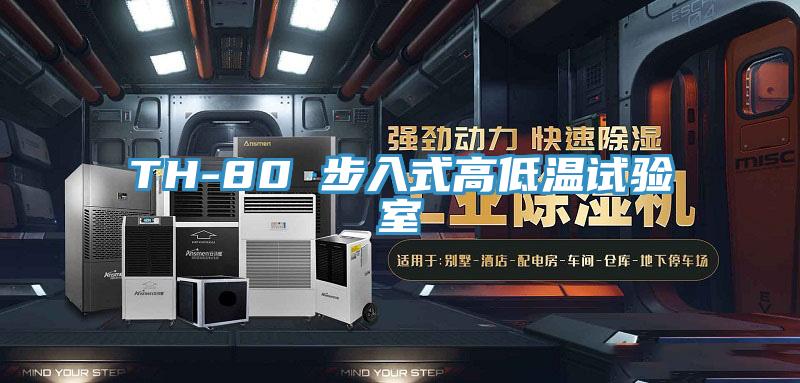 TH-80 步入式高低溫試驗(yàn)室