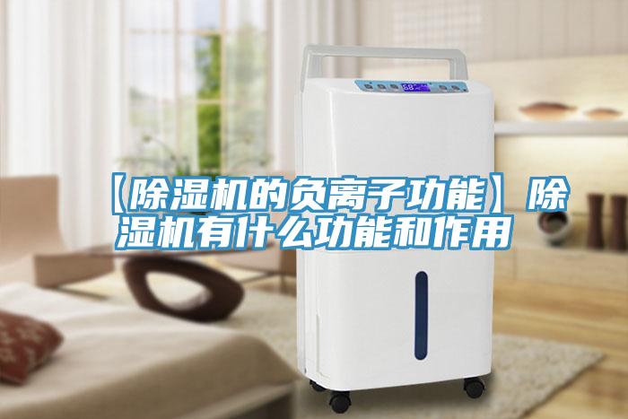 【除濕機的負離子功能】除濕機有什么功能和作用