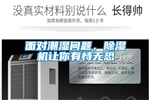 面對潮濕問題,除濕機讓你有恃無恐