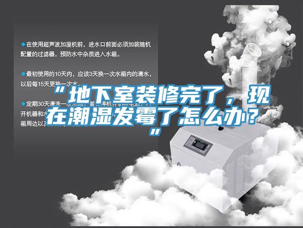 “地下室裝修完了,現在潮濕發霉了怎么辦?”