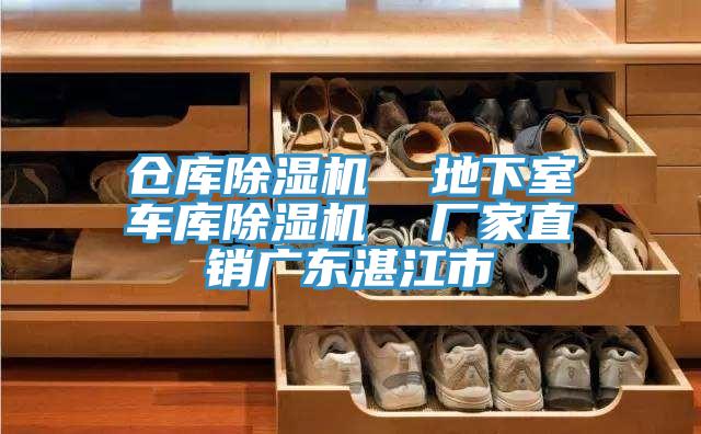 倉(cāng)庫(kù)除濕機(jī) 地下室車庫(kù)除濕機(jī) 廠家直銷廣東湛江市