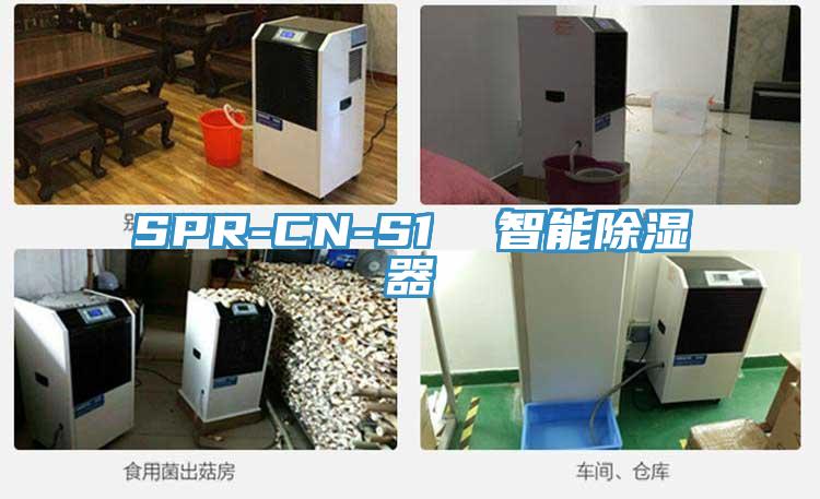 SPR-CN-S1 智能除濕器