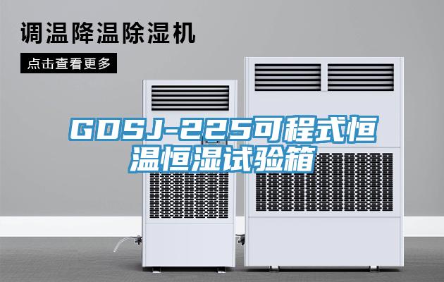 GDSJ-225可程式恒溫恒濕試驗箱