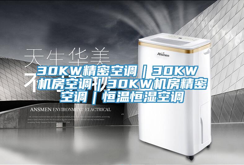 30KW精密空調|30KW 機房空調|30KW機房精密空調|恒溫恒濕空調