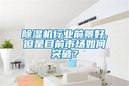 除濕機行業前景好,但是目前市場如何突破？