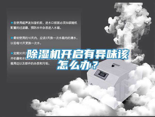 除濕機開啟有異味該怎么辦?