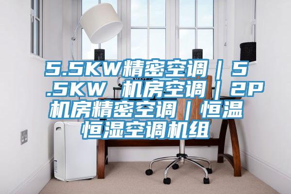 5.5KW精密空調|5.5KW 機房空調|2P機房精密空調|恒溫恒濕空調機組