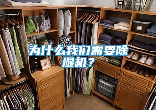為什么我們需要除濕機？