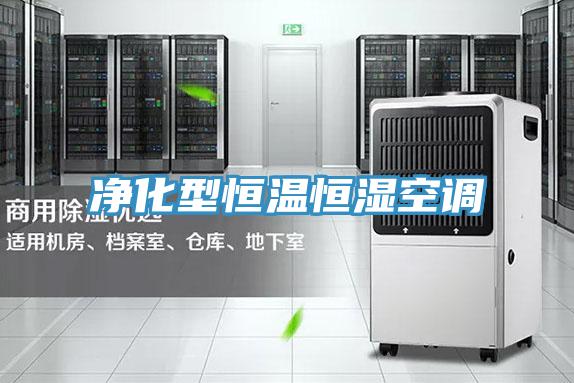 凈化型恒溫恒濕空調