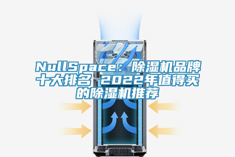 NullSpace:除濕機品牌十大排名 2022年值得買的除濕機推薦