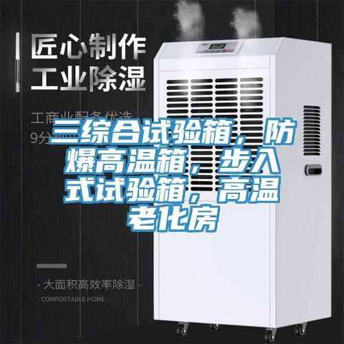 三綜合試驗箱，防爆高溫箱，步入式試驗箱，高溫老化房