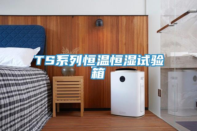 TS系列恒溫恒濕試驗箱