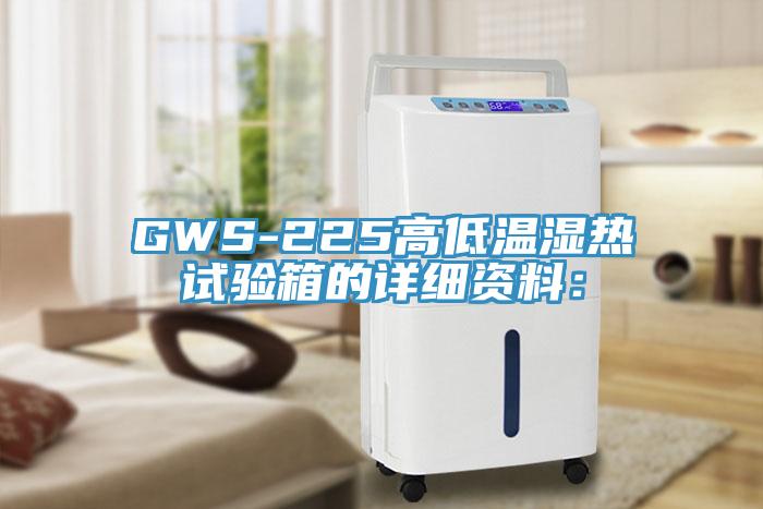 GWS-225高低溫濕熱試驗箱的詳細資料: