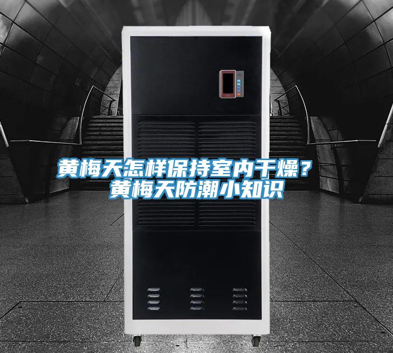 黃梅天怎樣保持室內干燥? 黃梅天防潮小知識