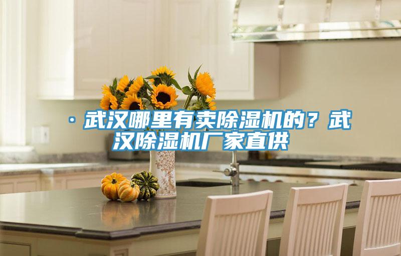 ·武漢哪里有賣除濕機的?武漢除濕機廠家直供