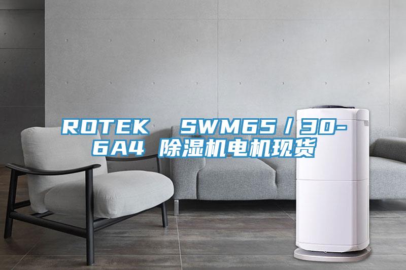 ROTEK SWM65/30-6A4 除濕機電機現貨