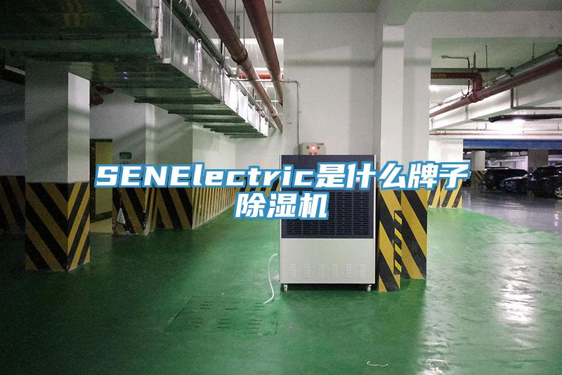 SENElectric是什么牌子除濕機