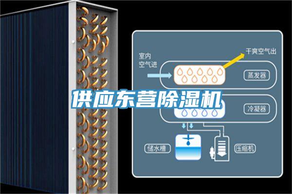 供應(yīng)東營除濕機(jī)