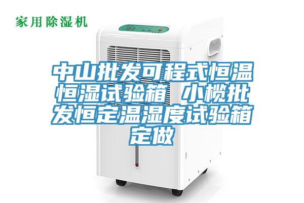 中山批發(fā)可程式恒溫恒濕試驗(yàn)箱 小欖批發(fā)恒定溫濕度試驗(yàn)箱定做