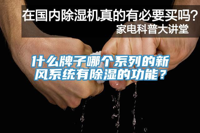 什么牌子哪個系列的新風系統有除濕的功能？