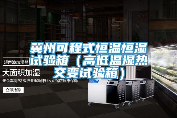 冀州可程式恒溫恒濕試驗箱（高低溫濕熱交變試驗箱）