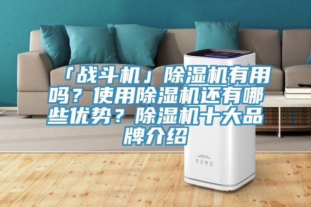 「戰斗機」除濕機有用嗎？使用除濕機還有哪些優勢？除濕機十大品牌介紹