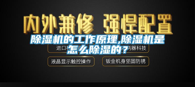 除濕機的工作原理,除濕機是怎么除濕的?