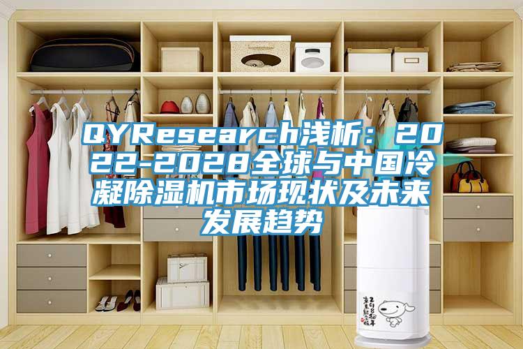 QYResearch淺析:2022-2028全球與中國冷凝除濕機市場現狀及未來發展趨勢