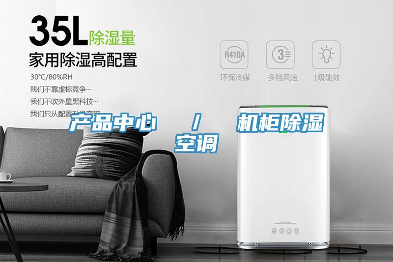 產品中心 / 機柜除濕空調