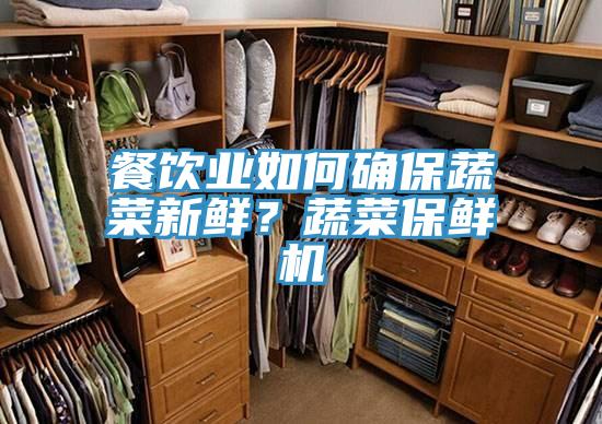 餐飲業(yè)如何確保蔬菜新鮮?蔬菜保鮮機(jī)