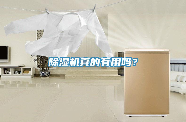 除濕機真的有用嗎？