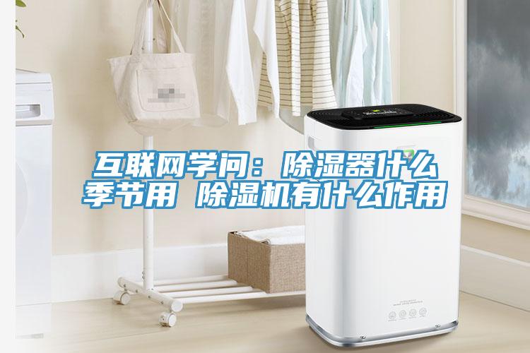 互聯網學問：除濕器什么季節用 除濕機有什么作用