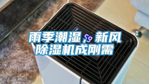 雨季潮濕，新風除濕機成剛需