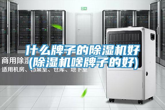 什么牌子的除濕機好(除濕機啥牌子的好)
