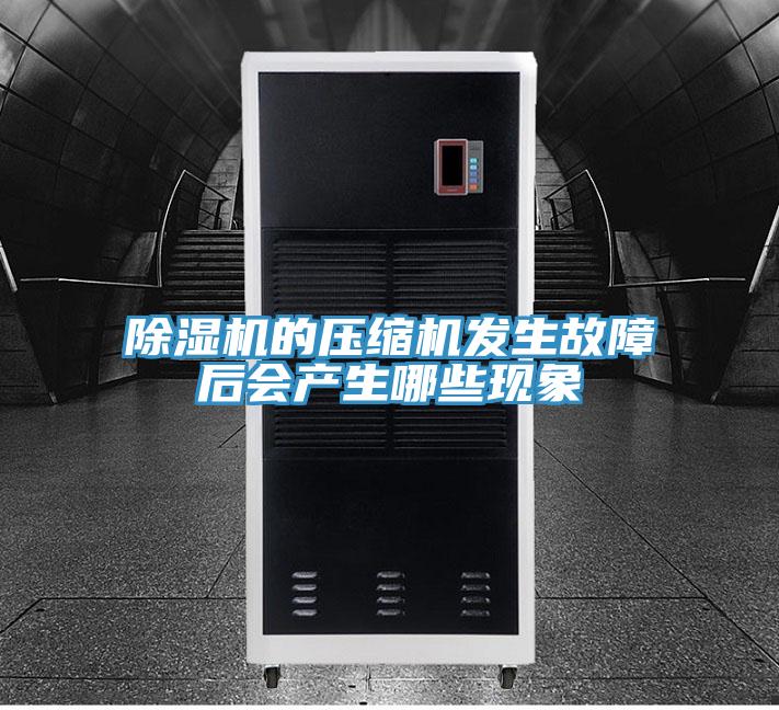 除濕機(jī)的壓縮機(jī)發(fā)生故障后會(huì)產(chǎn)生哪些現(xiàn)象