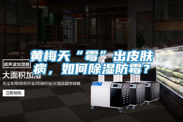 黃梅天“霉”出皮膚病,如何除濕防霉?
