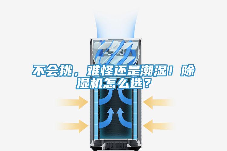不會挑,難怪還是潮濕!除濕機怎么選?