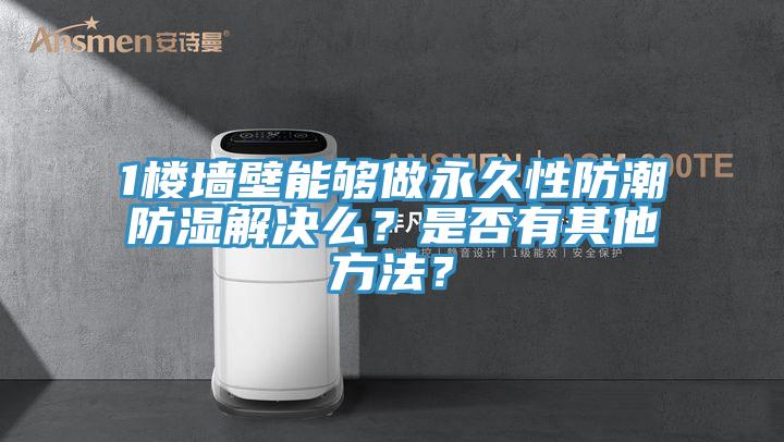1樓墻壁能夠做永久性防潮防濕解決么?是否有其他方法?