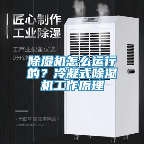 除濕機怎么運行的?冷凝式除濕機工作原理
