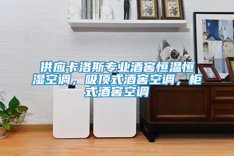 供應卡洛斯專業酒窖恒溫恒濕空調，吸頂式酒窖空調，柜式酒窖空調