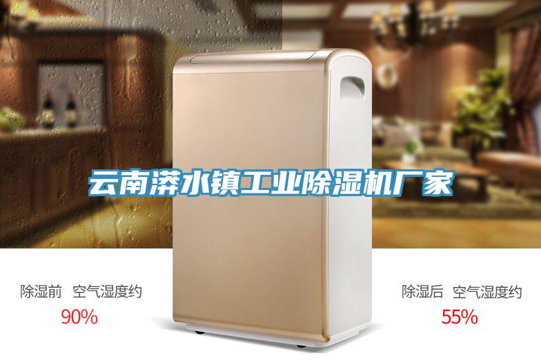 云南漭水鎮工業除濕機廠家