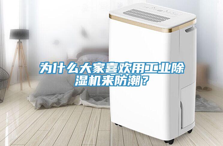 為什么大家喜歡用工業除濕機來防潮?