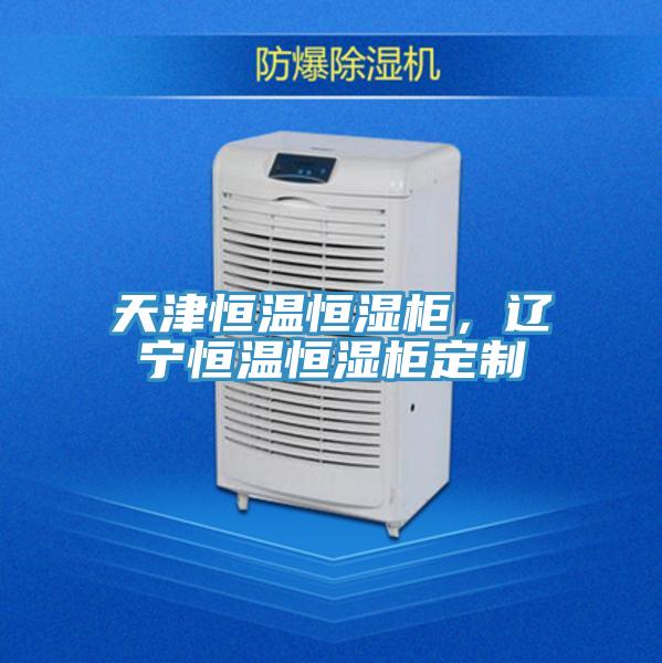 天津恒溫恒濕柜,遼寧恒溫恒濕柜定制